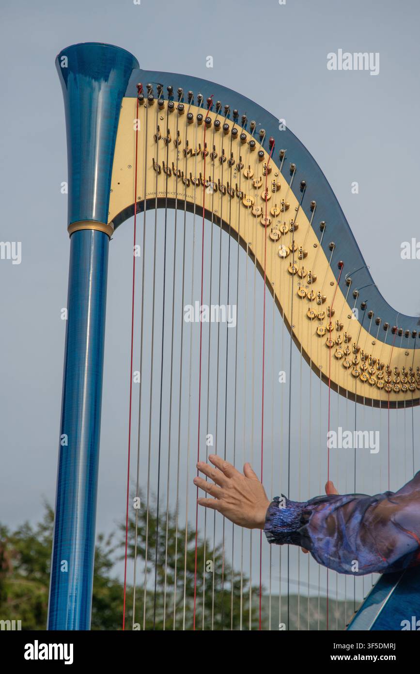 Una donna suona con devozione ed eleganza un'aripa blu maestosa immersa nella natura, circondata dal pubblico Foto Stock