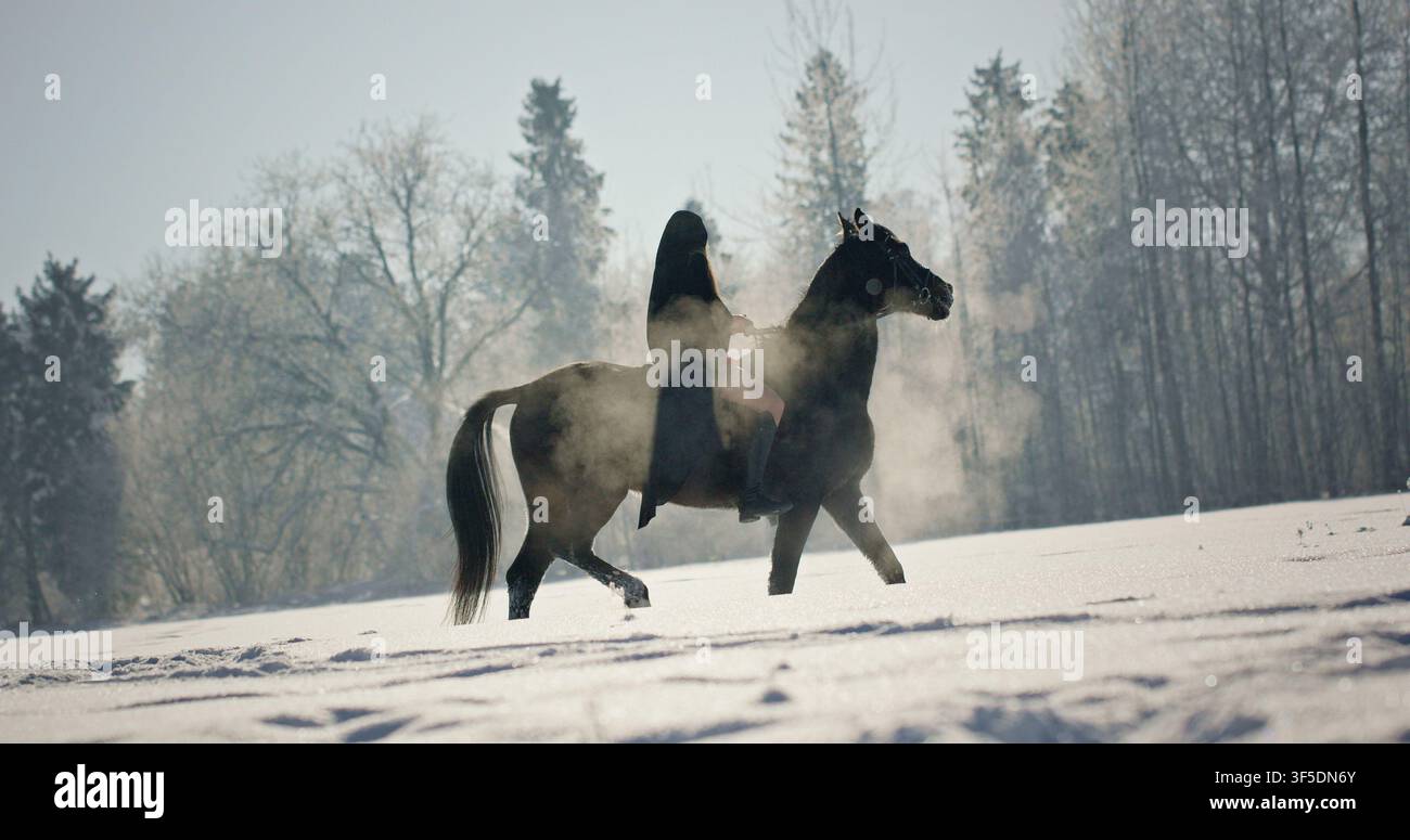 Donna a cavallo in un misterioso paese delle meraviglie invernale Foto Stock