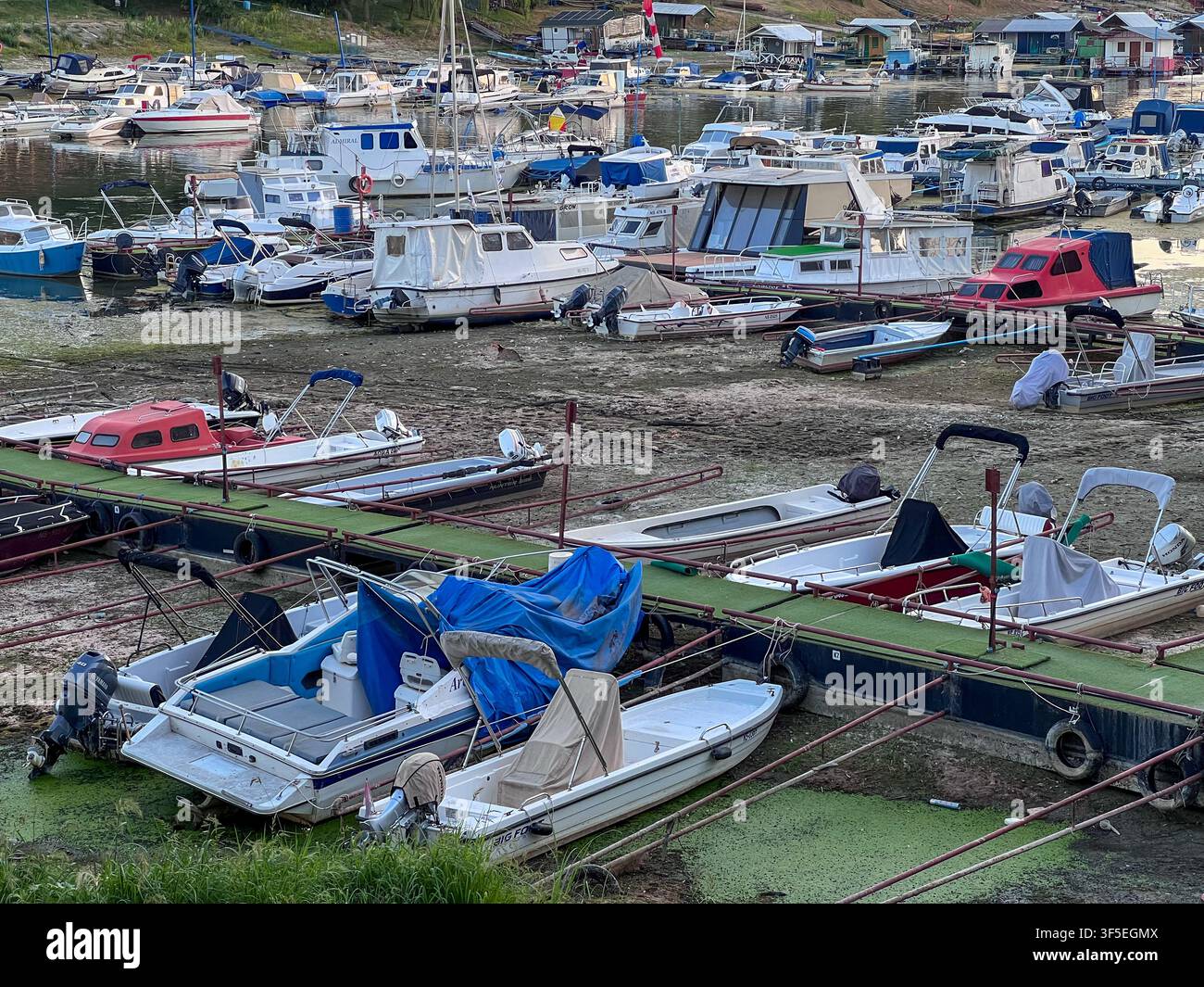 Le barche si posano sul fango mentre una grave siccità abbassa il Danubio a livelli storici a Novi Sad, in Serbia - Immagine stock catturata con smartphone