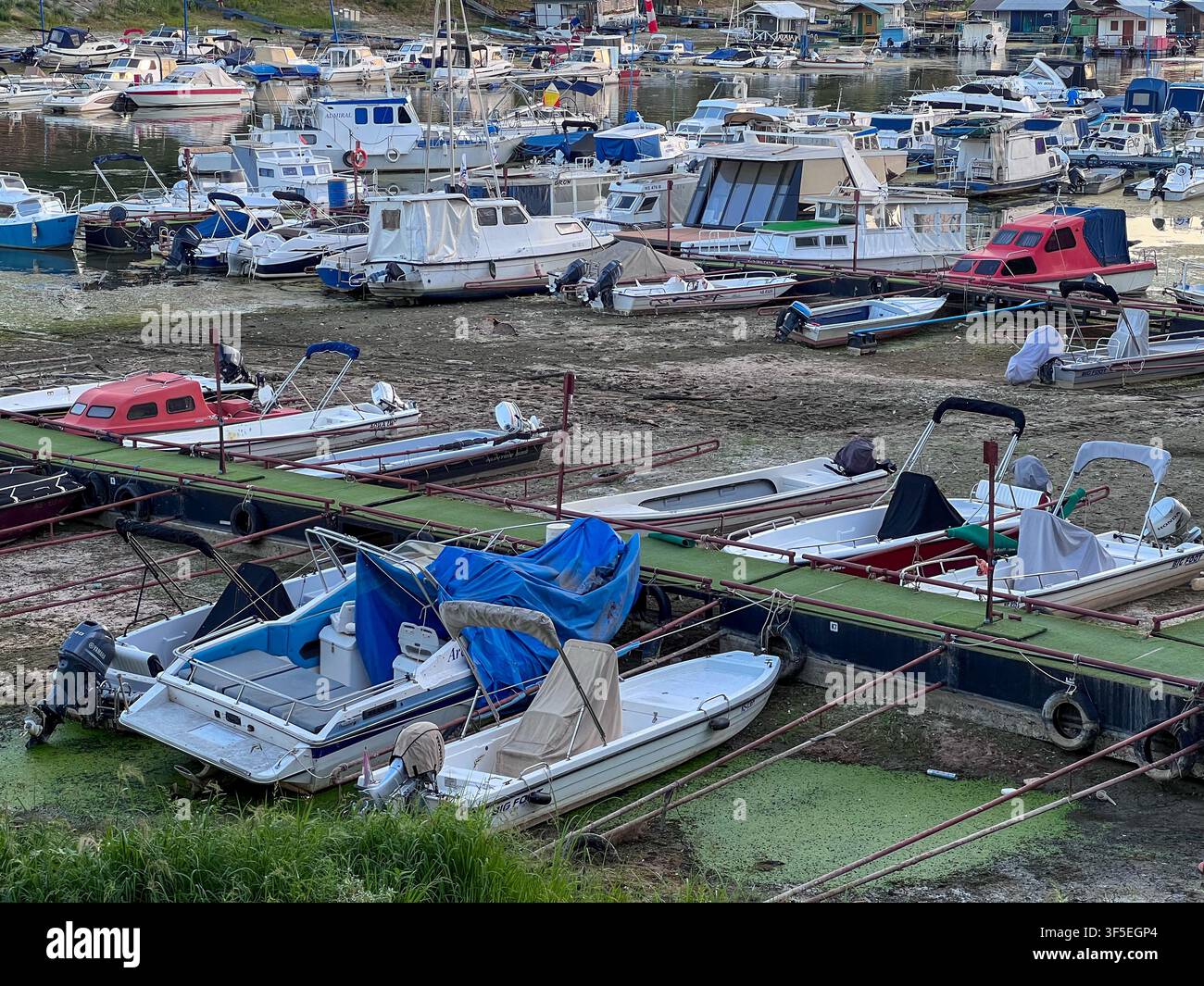 Le barche incagliate rivelano gli effetti della siccità storica e dei livelli d'acqua record bassi del Danubio in Serbia. Foto Stock