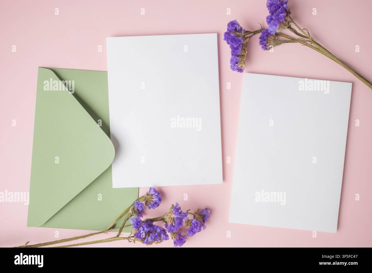 Biglietto di auguri o invito bianco vuoto con decorazione di fiori viola su sfondo rosa. Presentazione di mock up. Composizione piatta, vista dall'alto con spazio per testo. Mi Foto Stock