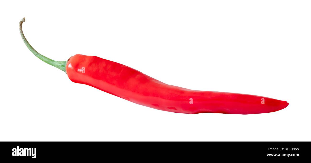 Un lungo peperone rosso curvo è isolato su sfondo bianco con percorso di ritaglio. Foto Stock