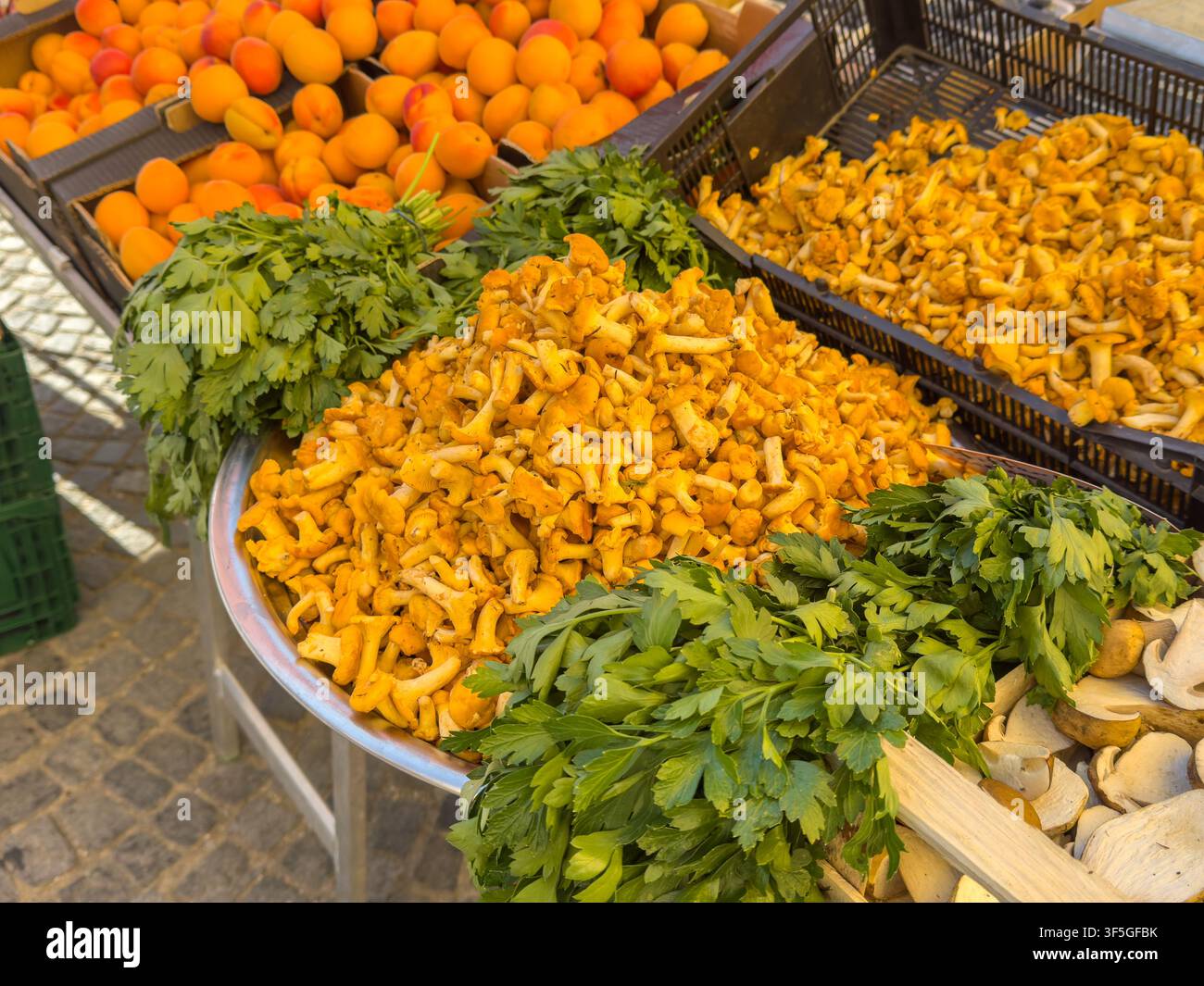 Funghi Chanterelle freschi in un mercato contadino cittadino – Cibo stagionale e prodotti locali Foto Stock