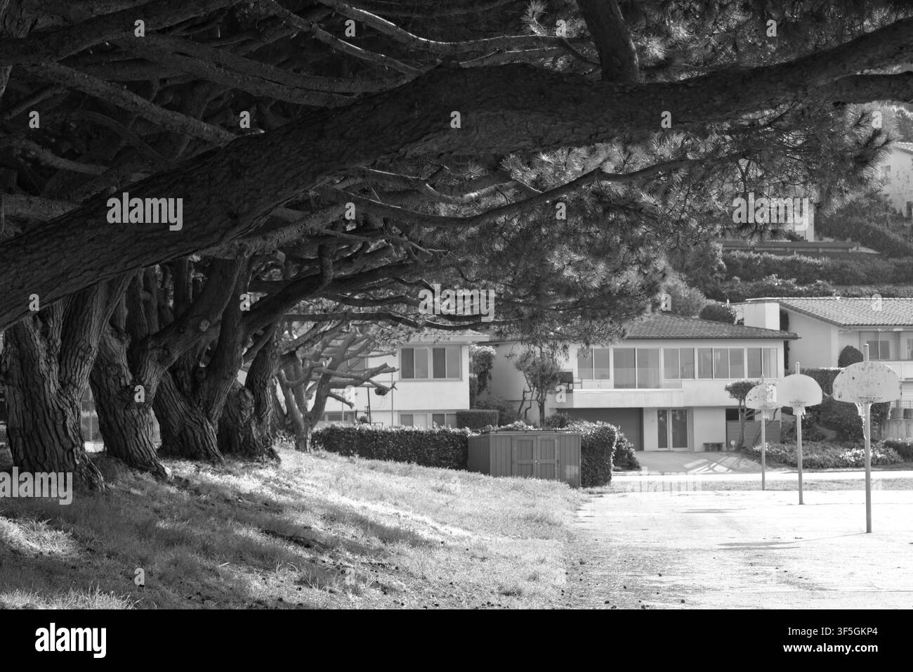 Parco ombreggiato con alberi maturi e canestri da basket vicino a Torrance Beach, in California, che unisce verde, svago e vita tranquilla del quartiere. Foto Stock