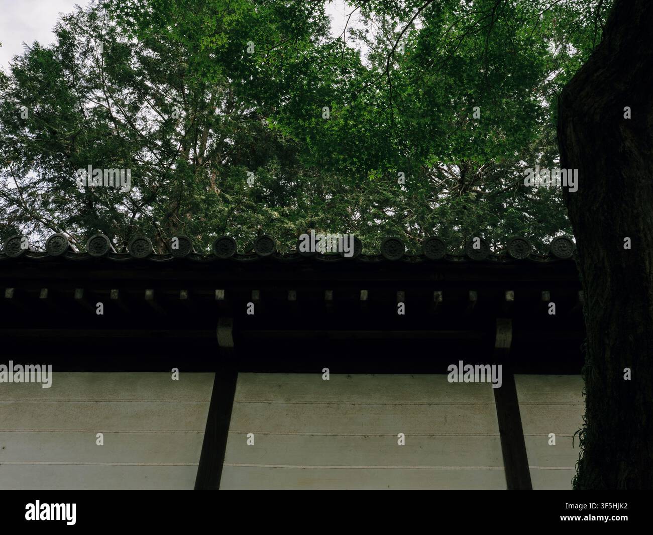 Muro tradizionale di un tempio giapponese con telaio in legno e tegole kawara sotto alberi verdi, Higashiyama, Kyoto Foto Stock