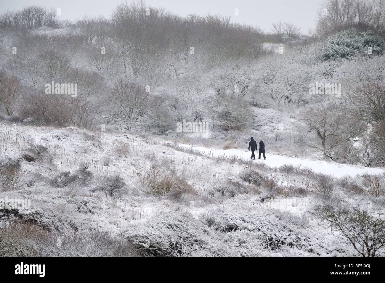 Westduinpark, L’Aia, Olanda Meridionale, Paesi Bassi – 01 07 2026: Passeggiata nelle dune in inverno. Foto Stock