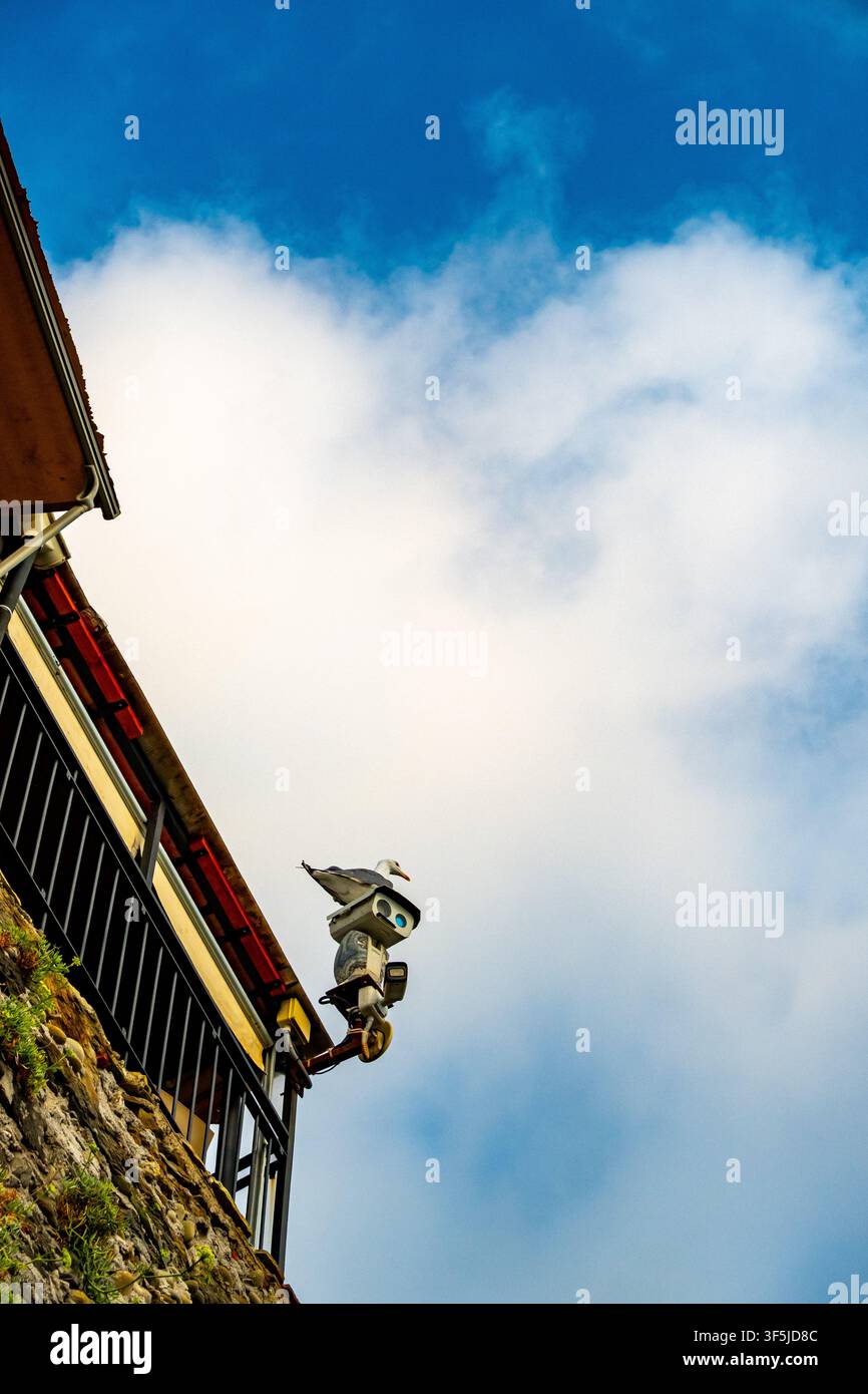 Telecamera di sicurezza esterna montata su un edificio storico contro un cielo blu Foto Stock