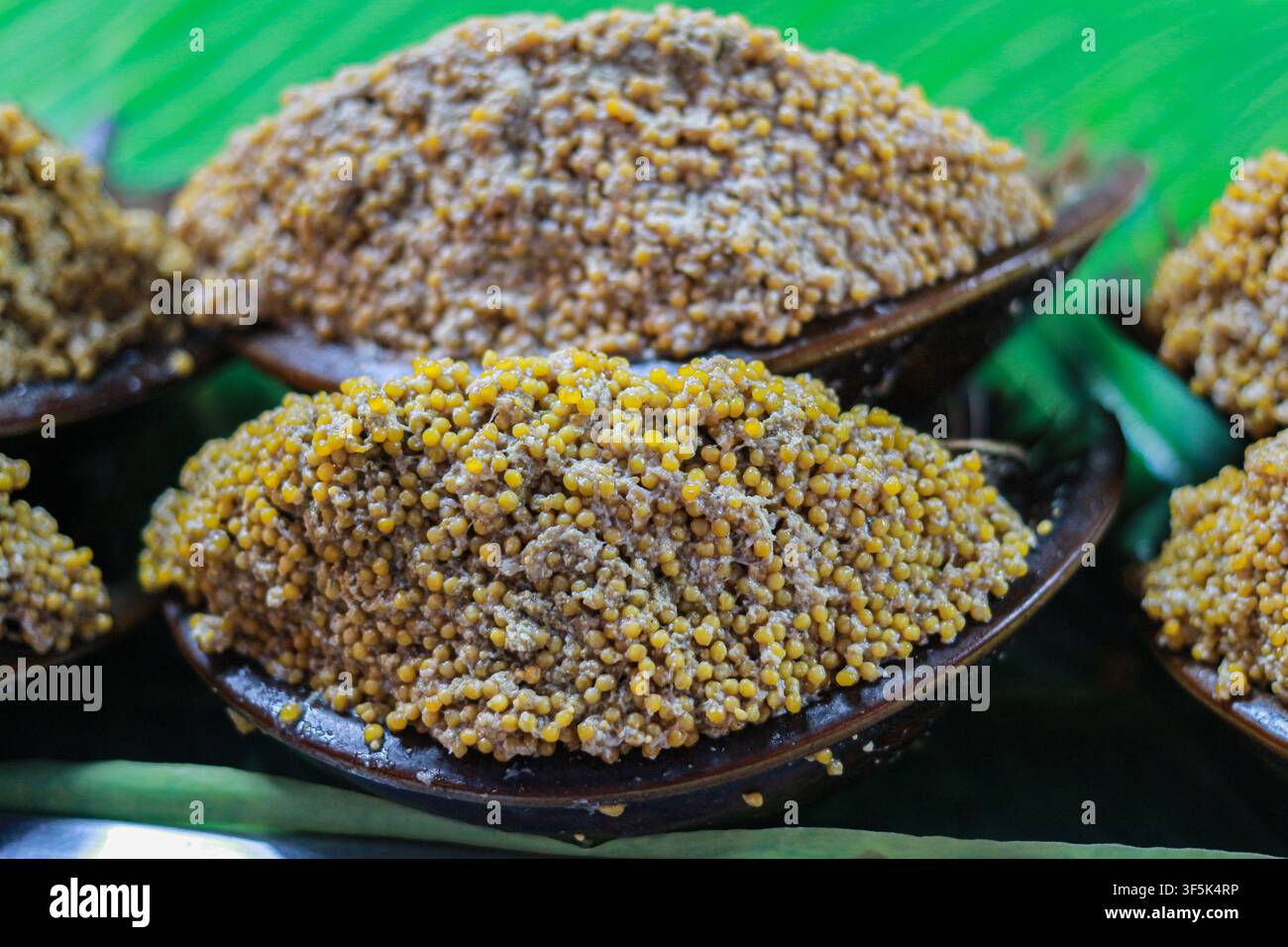 Prima vista di uova di granchio cavallino esposte in un mercato thailandese come ingrediente tradizionale del pesce per la cucina locale e la cultura alimentare regionale. Foto Stock