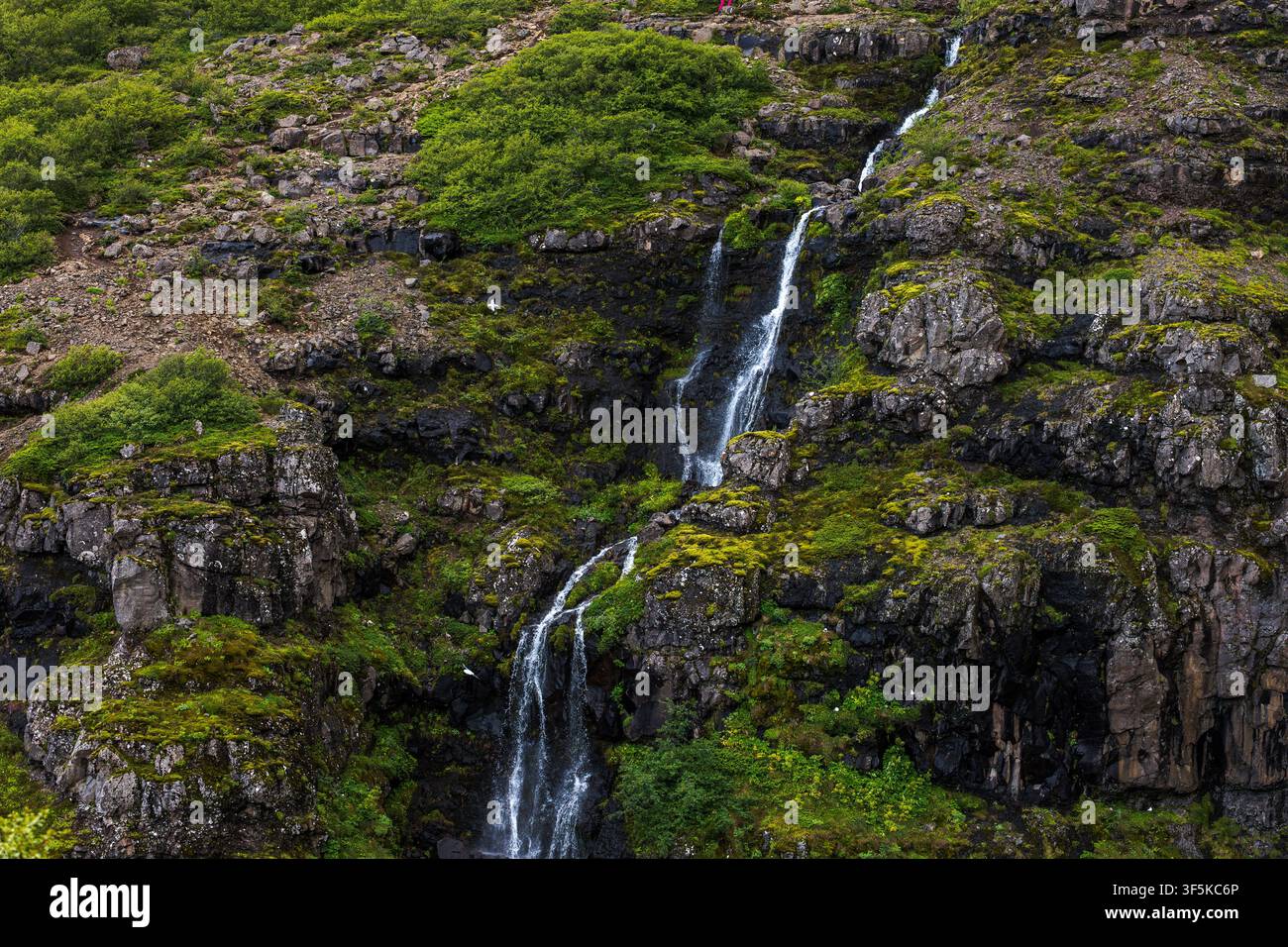 Cascata incontaminata che scende lungo rigogliose scogliere di basalto ricoperte di muschio in Islanda. Scena di natura serena che mostra una geologia drammatica e una vegetazione lussureggiante Foto Stock