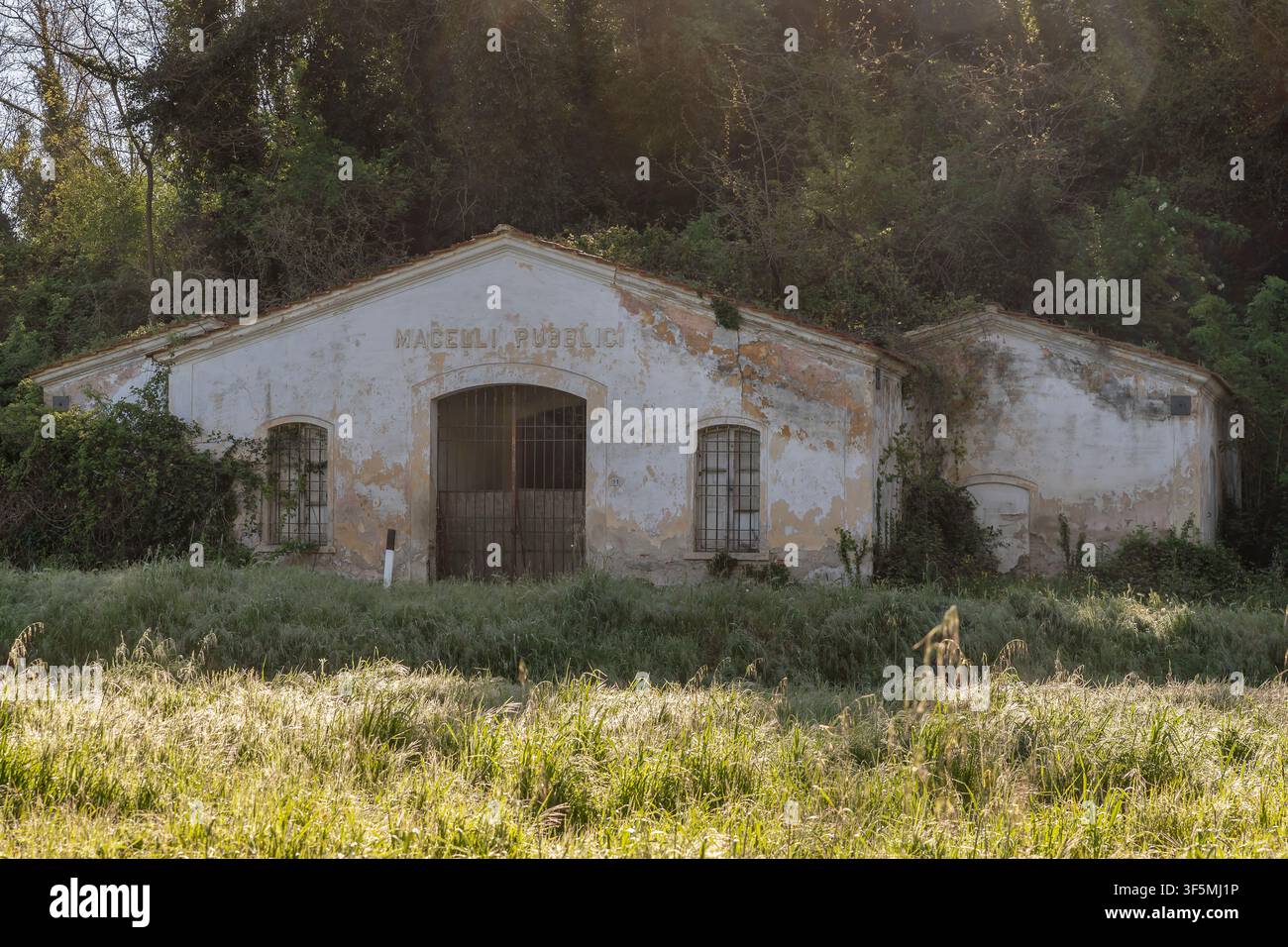 I macelli pubblici ora abbandonati a Fauglia, Pisa, Italia Foto Stock
