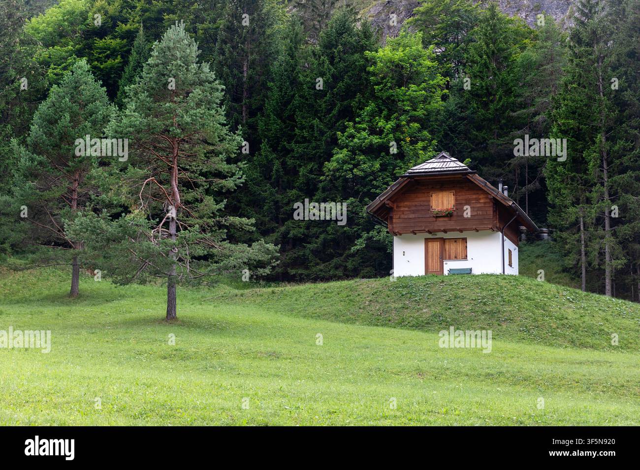 Bellissima cabina tradizionale in legno di montagna su una radura vicino al bosco del Lago di Predil, circondata dalle Alpi Giulie a Tarvisio, Italia. Foto Stock