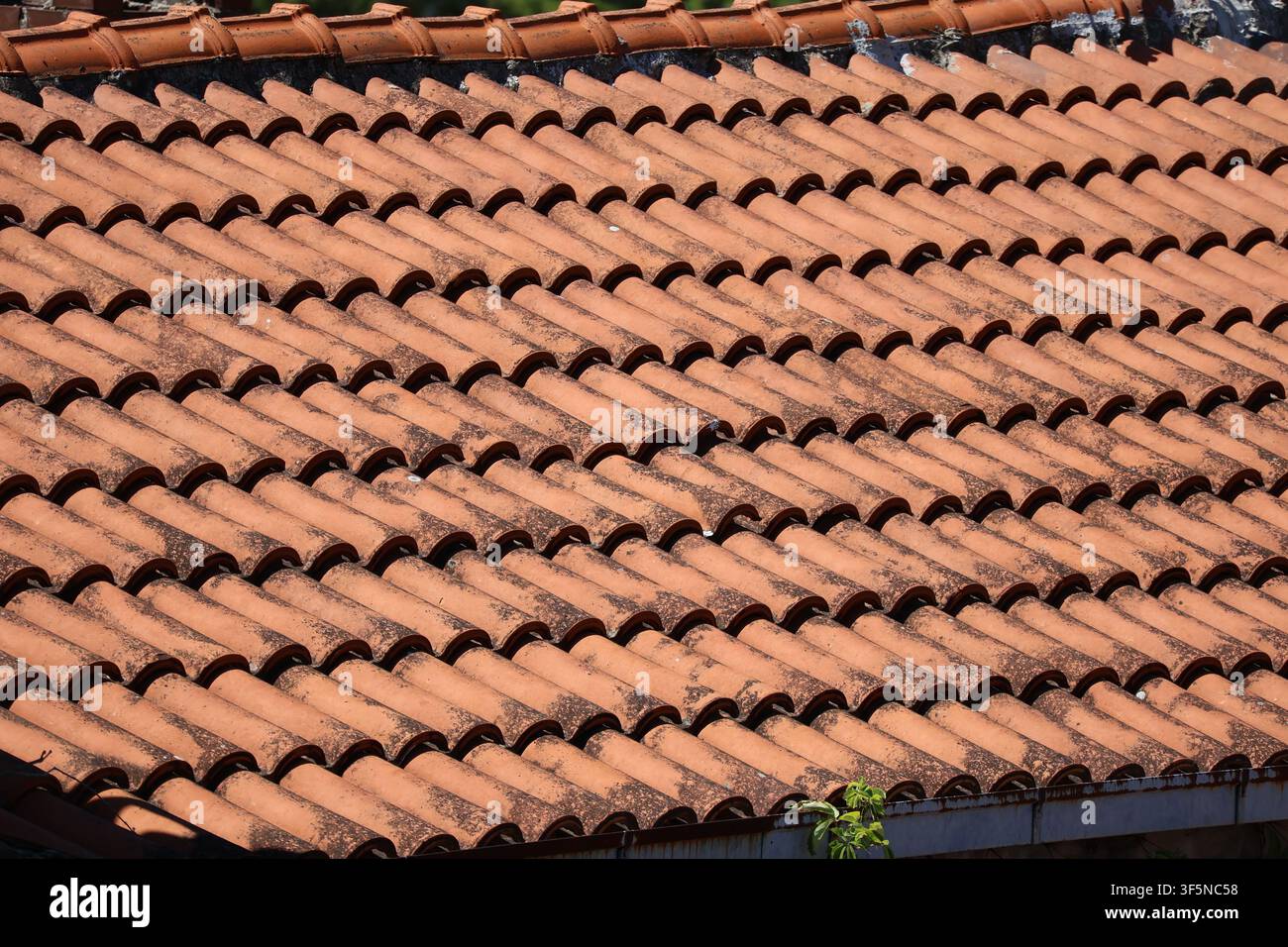 Primo piano della trama delle tradizionali tegole di terracotta consumate dal tempo Foto Stock