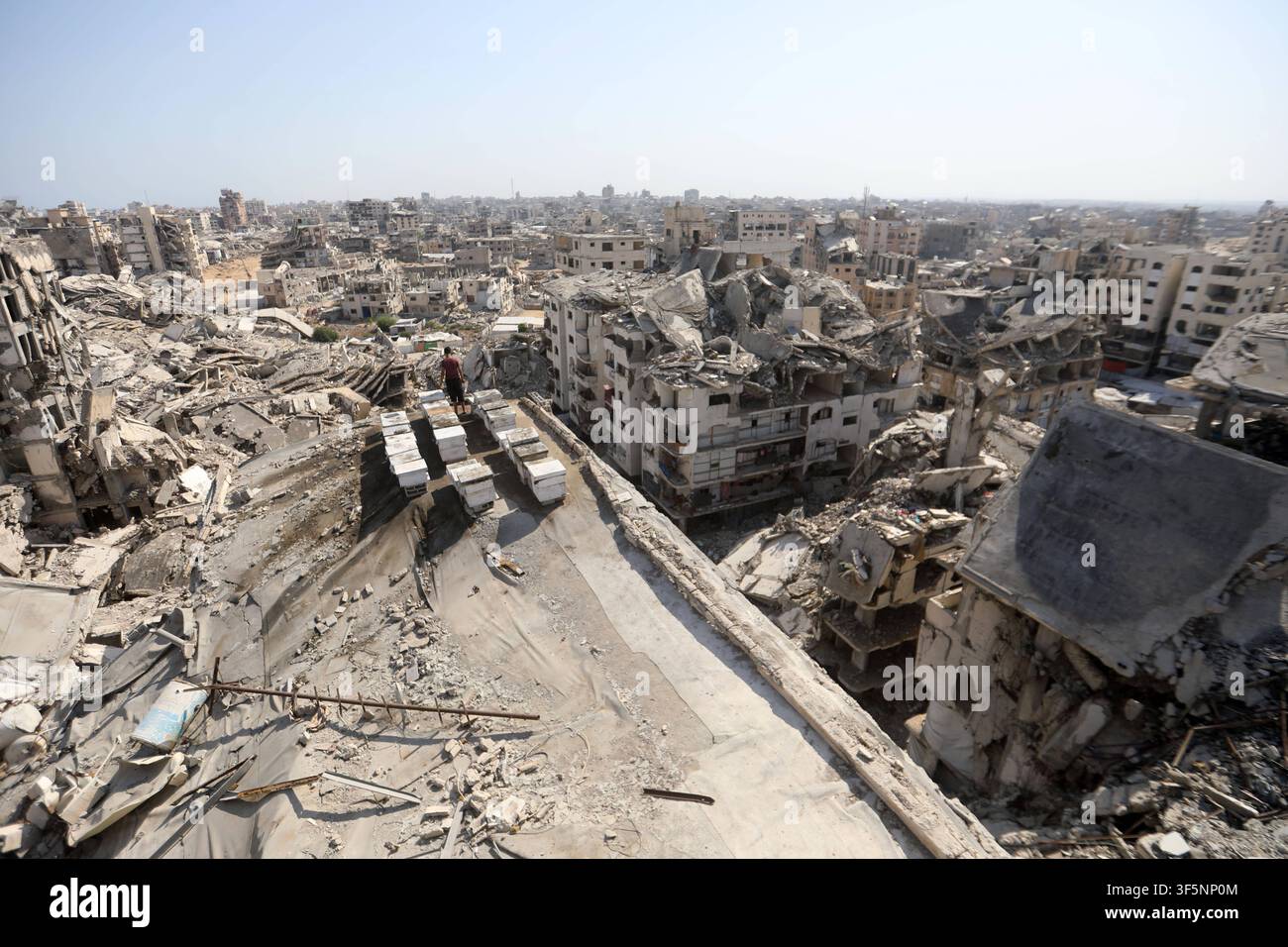 Gli alveari rimangono sulla sommità di un edificio danneggiato a Gaza City nonostante la guerra Gli alveari sono visibili sul tetto di un edificio residenziale danneggiato dalla guerra nel quartiere di Tel al-Hawa di Gaza City il 3 agosto 2026, dove l'apicoltore palestinese Ibrahim Naji Al-Dabba, assistito dai suoi figli, continua a prendersi cura delle sue ultime arnie. Gli apicoltori dicono che la guerra in corso ha sfollato molti di loro e causato carenze di attrezzature e un calo del numero di alveari, minacciando il futuro di una delle più antiche professioni tradizionali della Striscia di Gaza. Foto di Bilal Osama apaimages Gaza City Striscia di Gaza Territorio palestinese Foto Stock