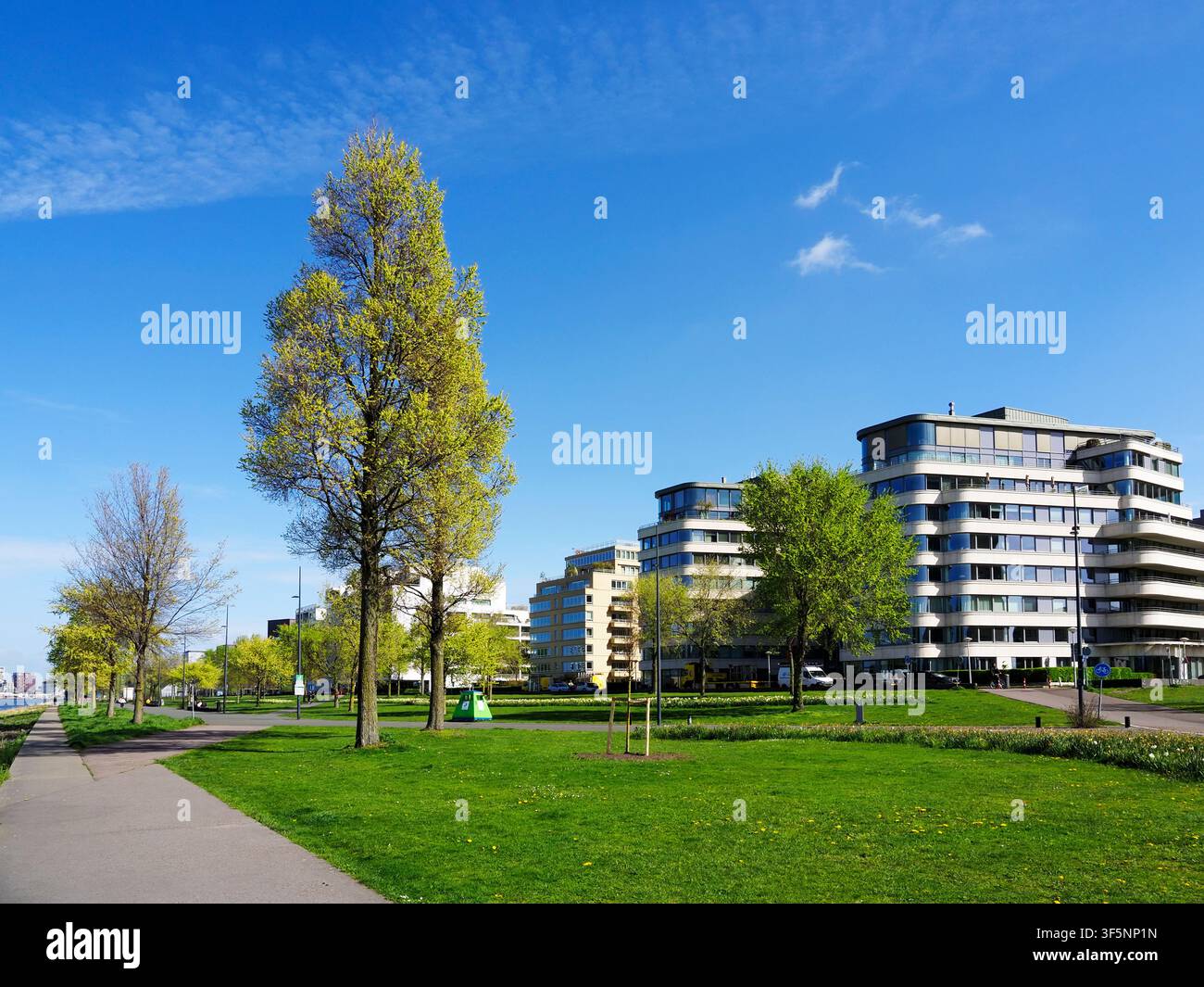 L'IJPromenade in primavera Amsterdam Noord Amsterdam Olanda Settentrionale Paesi Bassi Foto Stock