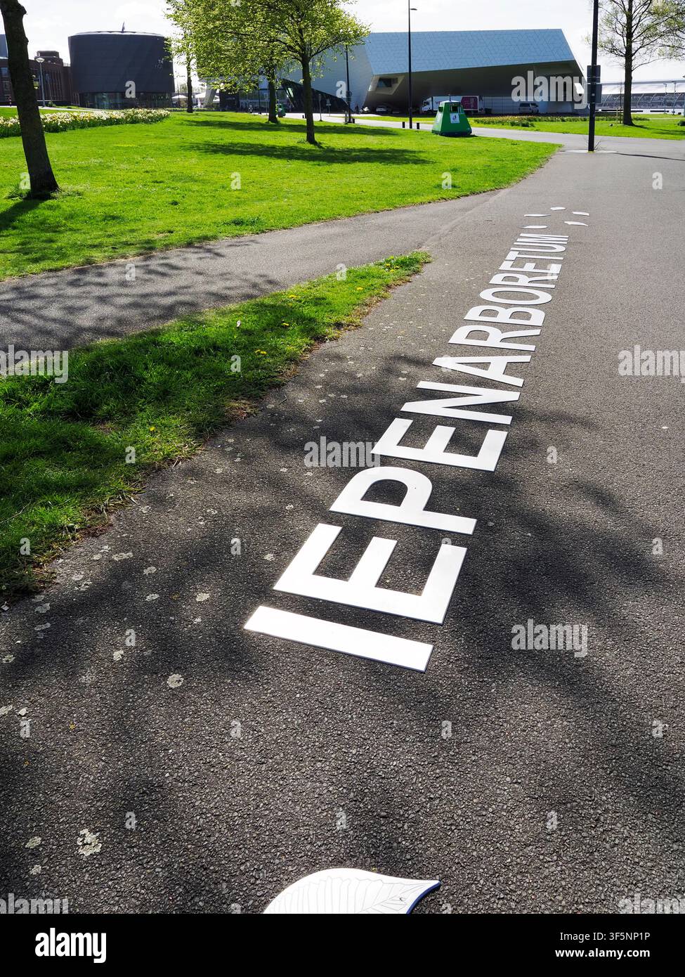 L'IJPromenade in primavera Amsterdam Noord Amsterdam Olanda Settentrionale Paesi Bassi Foto Stock