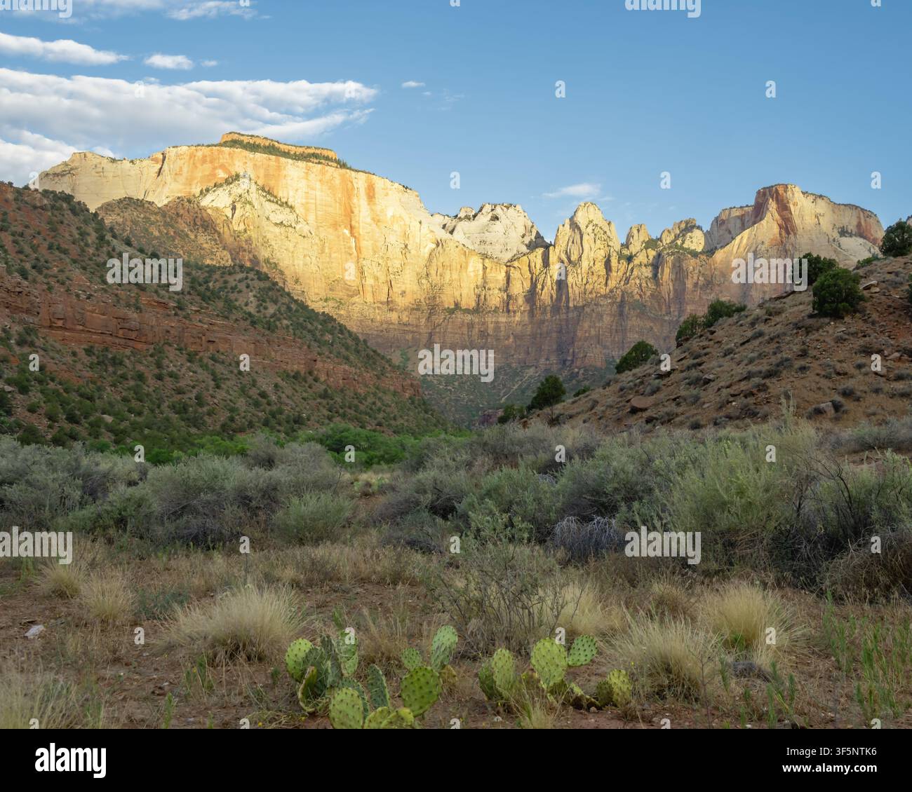 Il sole nascente illumina la Torre delle Vergini (Tempio Ovest, Orologio Solare, Altare del Sacrificio), Parco nazionale di Zion, vicino a Springdale, Utah. Foto Stock