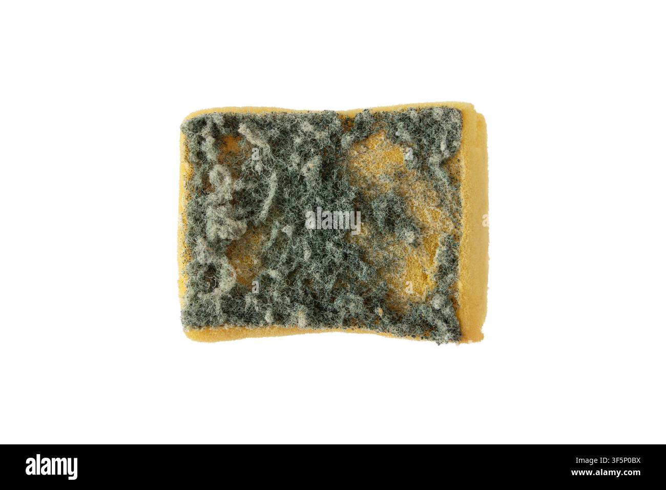 Spugna da cucina gialla pesantemente usata con una spugna abrasiva verde consumata, vista dall'alto isolata su sfondo bianco. Ideale per la pulizia, l'igiene, la casa Foto Stock