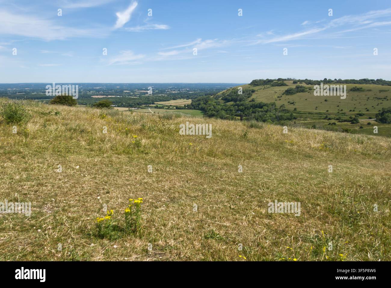 I South Downs al Devils Dyke vicino a Brighton nell'East Sussex, Inghilterra. Con vista su The Weald verso le North Downs. Foto Stock