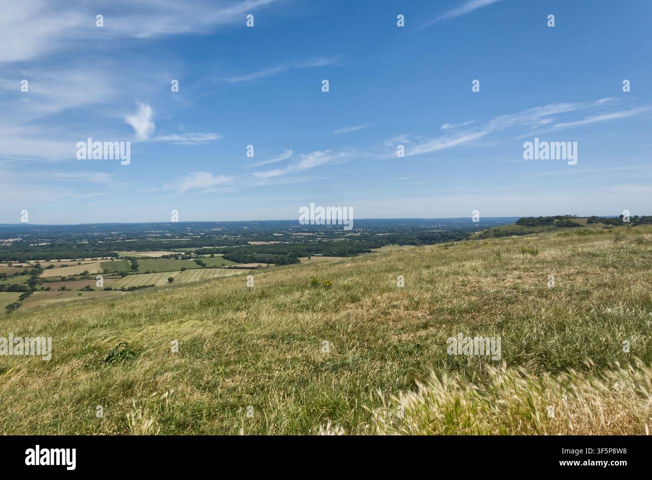 Vista sul Weald verso i North Downs dal Devils Dyke sui South Downs, vicino a Brighton, East Sussex, Inghilterra. Foto Stock