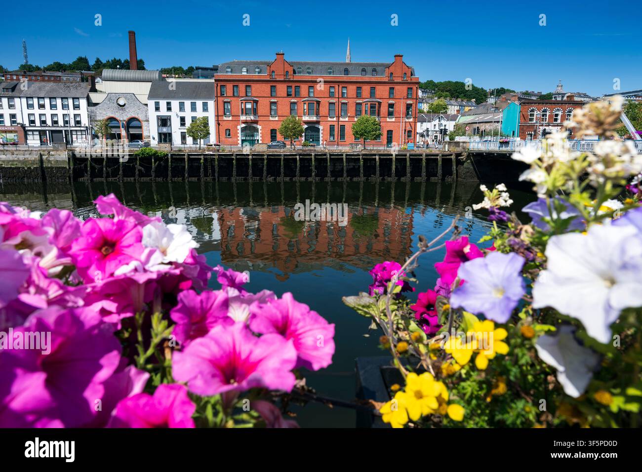 Edifici del lungomare riflessi nel fiume Lee a Cork Foto Stock