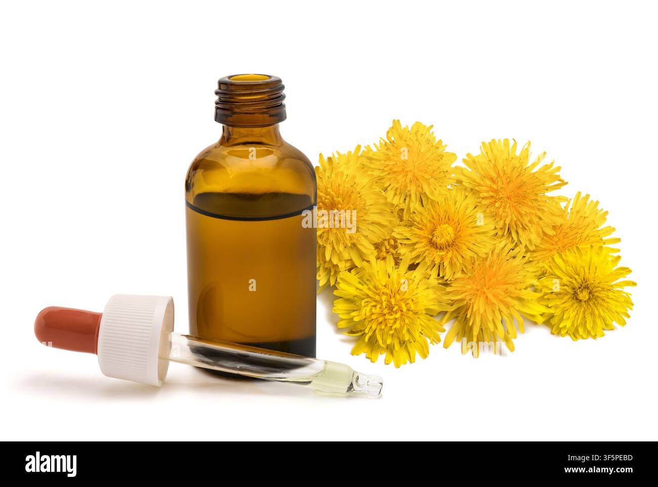 Fiori di tarassaco freschi con una bottiglia contagocce in vetro isolati su sfondo bianco. Medicina erboristica, cura naturale della pelle, omeopatia, olio essenziale, bota Foto Stock