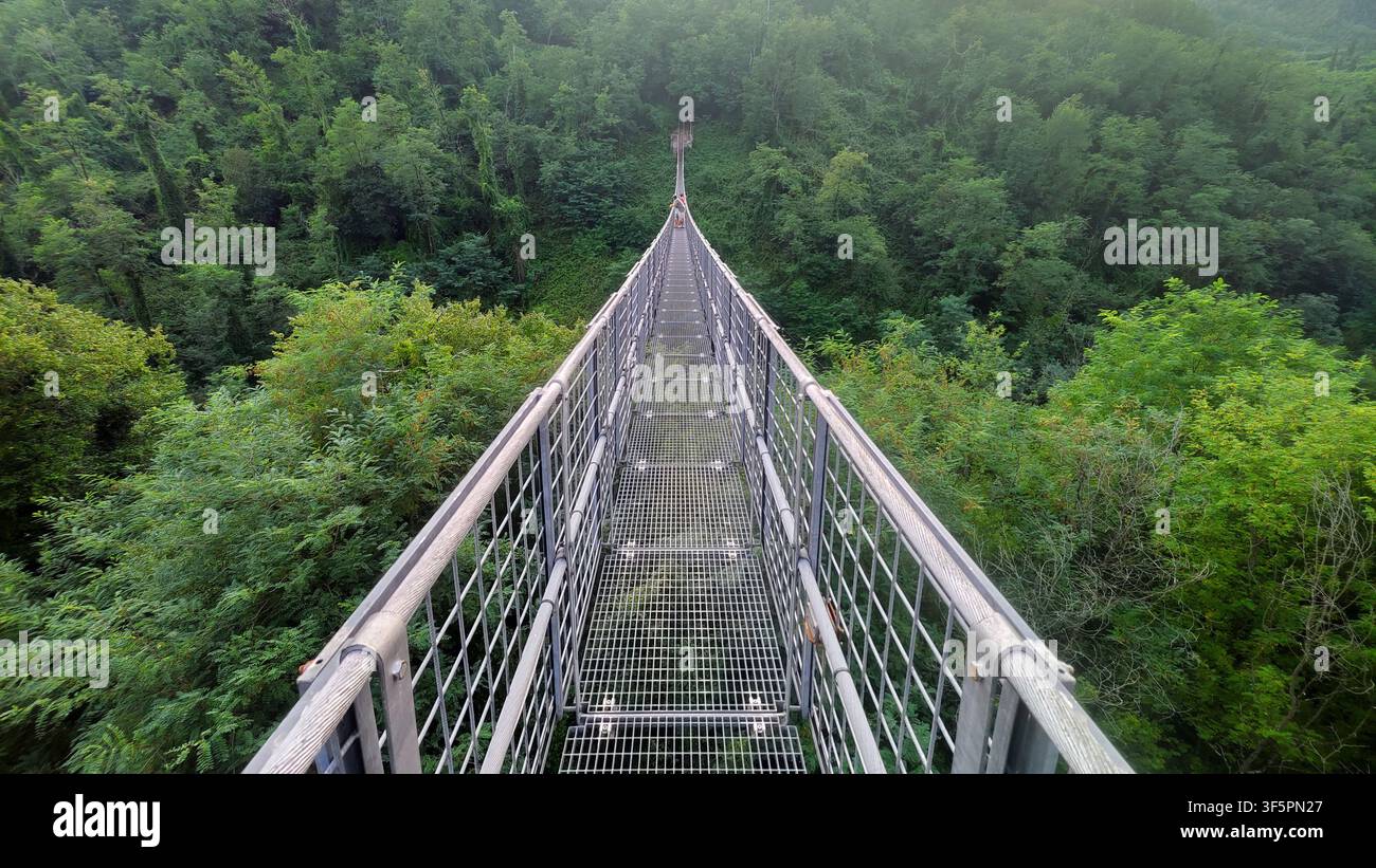 Lungo ponte sospeso pedonale che collega i due lati di una valle verdeggiante in Italia Foto Stock