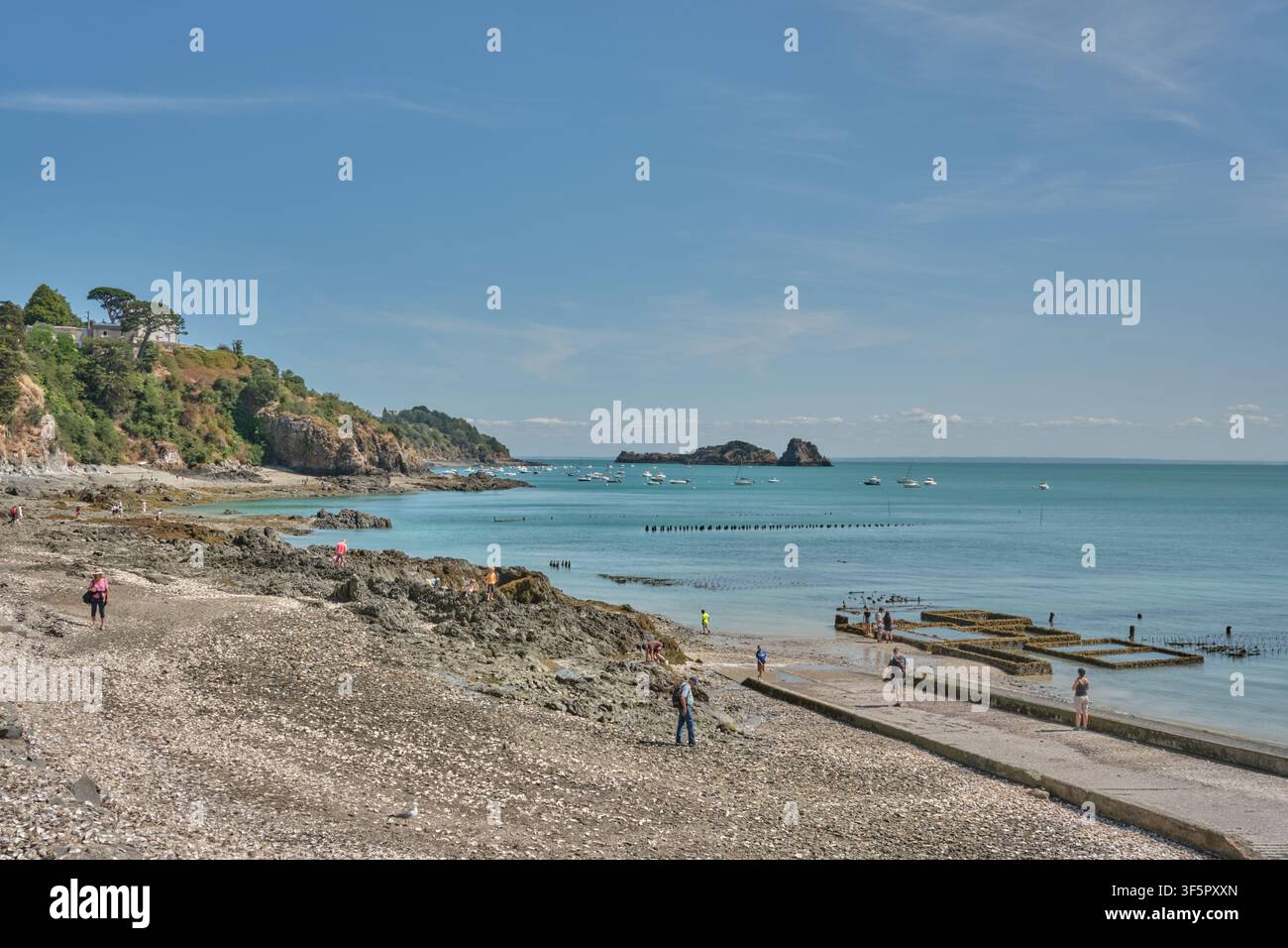 Leti di ostriche a Cancale, Bretagna, Francia sulla Costa Smeraldo. Foto Stock