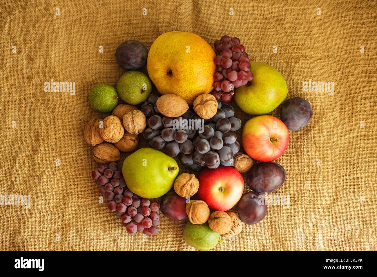 Una vista dall'alto di una ricca raccolta autunnale con pere biologiche fresche, uva, noci, mele e prugne disposte al centro su uno sfondo rustico di tela di sacco Foto Stock