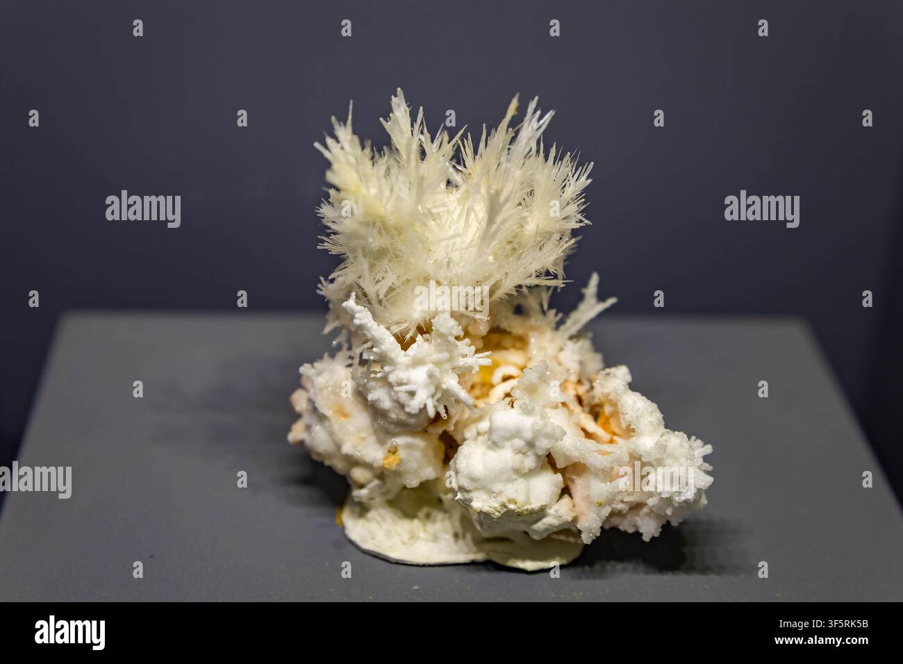 Vista ravvicinata di intricate formazioni di cristalli di ghiaccio con delicate strutture a forma di ago Foto Stock