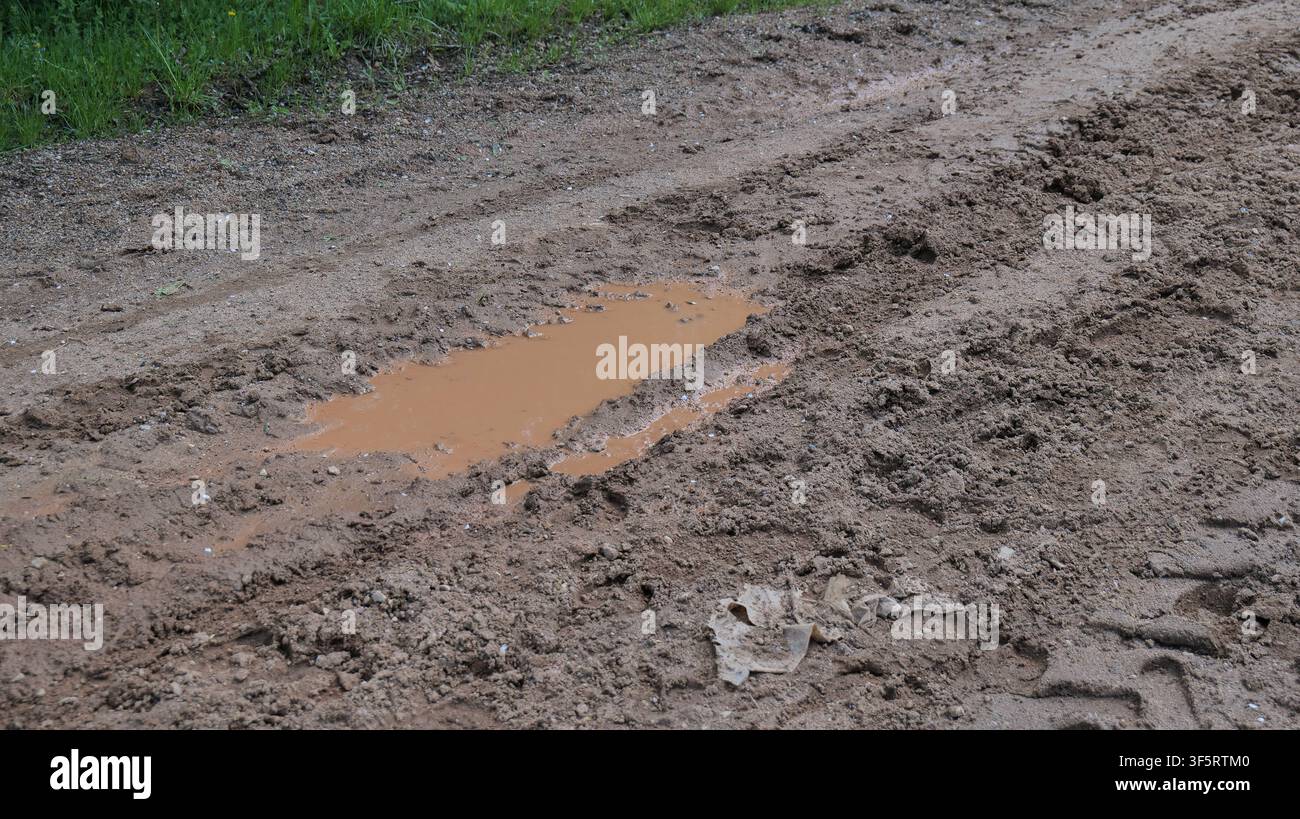 Pozza fangosa in un'area erbosa all'aperto dopo la pioggia Foto Stock