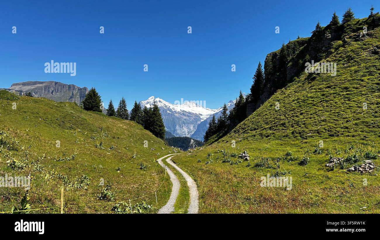 Bellissimo sentiero montuoso in Svizzera - Immagine stock catturata con smartphone