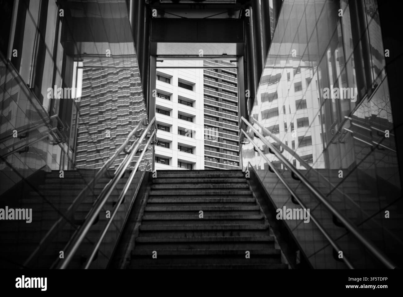 Scalinata monocromatica che incornicia edifici moderni della città Foto Stock