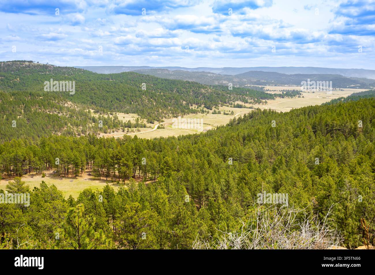 Vasta prateria aperta che si estende fino all'orizzonte sotto un'ampia distesa di cielo nel Wyoming Foto Stock