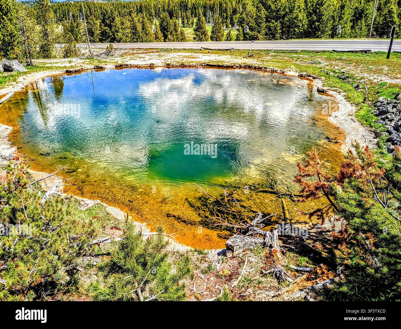 Piscina termale chiara color smeraldo e turchese con vivaci depositi minerali sullo sfondo di una foresta sempreverde in un contesto di parco nazionale. - Immagine stock catturata con smartphone