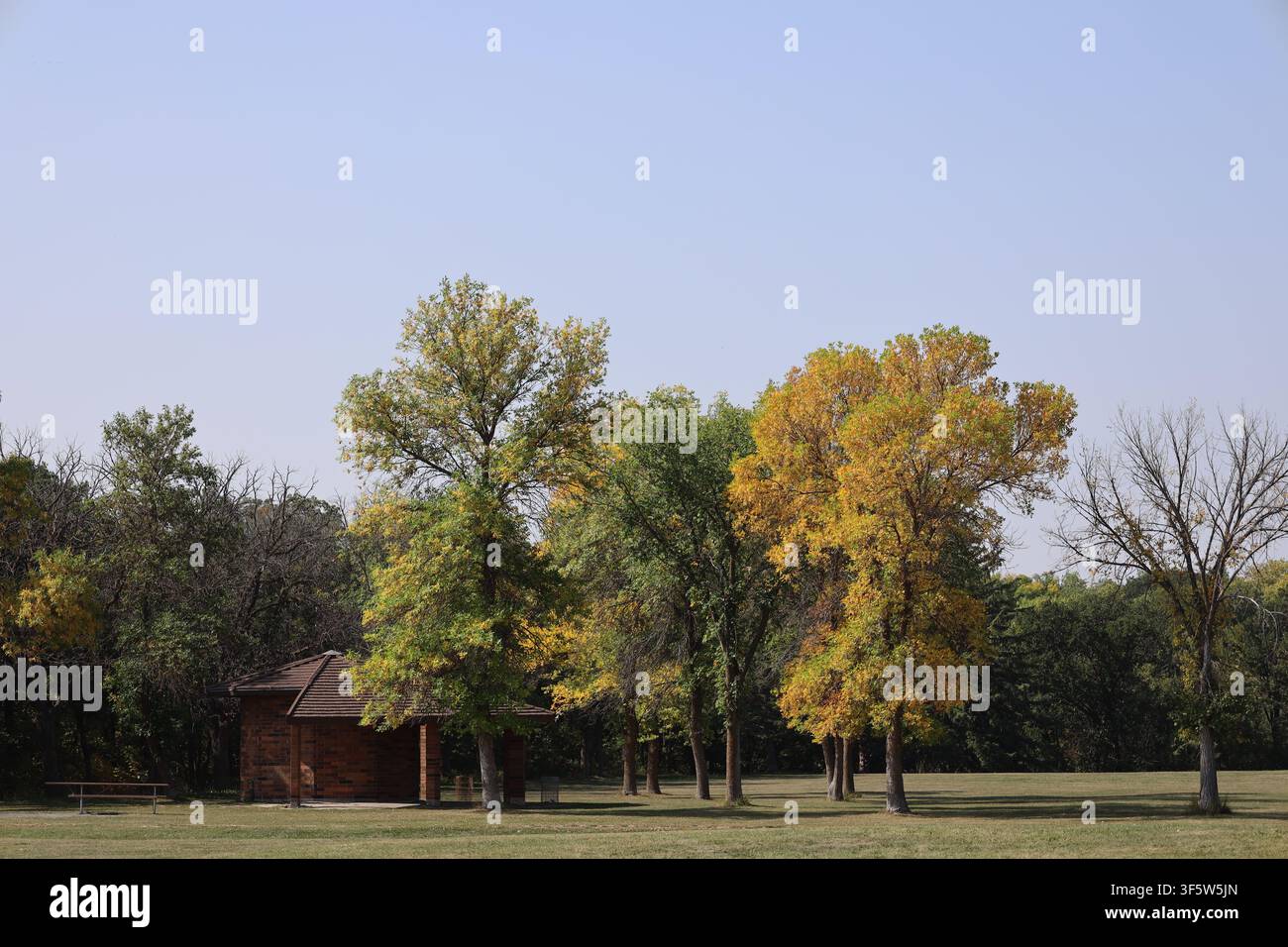 Gruppo di alberi, colori autunnali misti, cielo blu profondo senza nuvole (stagionale, paesaggio) Foto Stock