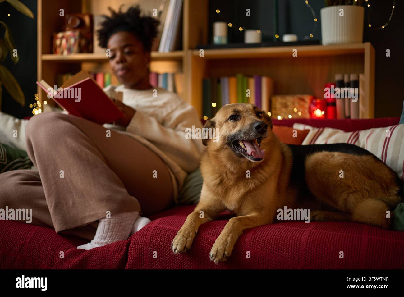 Giovane donna afroamericana adulta che legge un libro sul divano con un cane sdraiato nelle vicinanze, che rappresenta la compagnia degli animali domestici e il tempo libero. Ideale per servizi veterinari o marketing dello stile di vita domestico Foto Stock