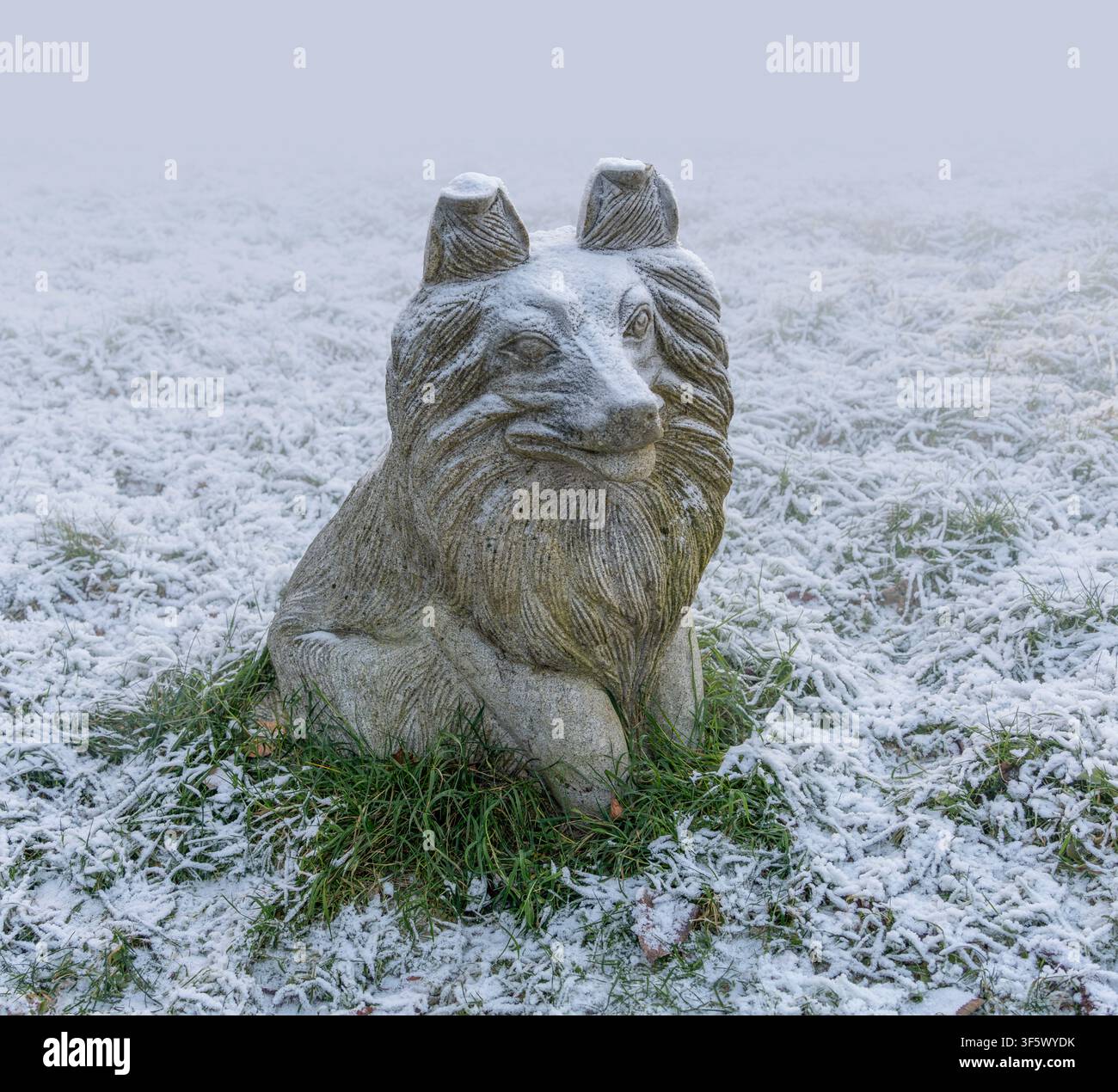 Scultura di cane in pietra, ricoperta di brina in un'ambientazione di erba innevata Foto Stock