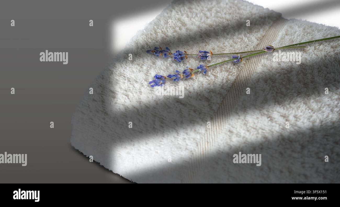 La lavanda è posizionata su un asciugamano bianco con ombre leggere in una stanza. L'ambientazione mostra un momento calmo con il sole che splende. Foto Stock