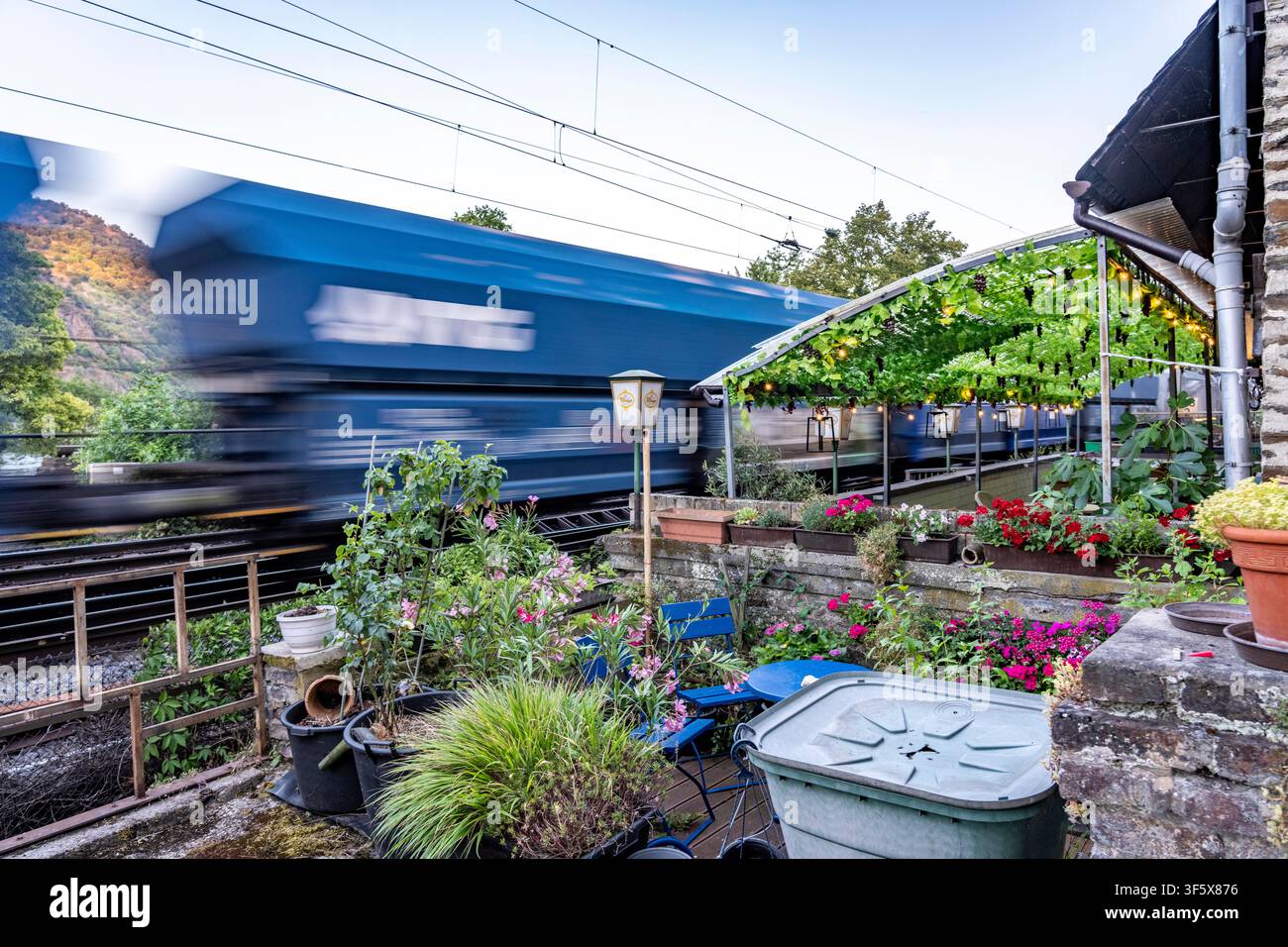 Traffico ferroviario, treno merci, proprio accanto alle case lungo le mura cittadine – il cosiddetto ‚Palisadengang‘ – a Bacharach sul Reno; piccolo giardino anteriore Foto Stock