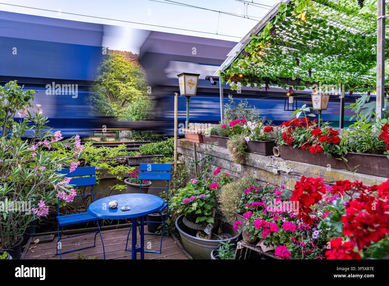 Traffico ferroviario, treno merci, proprio accanto alle case lungo le mura cittadine – il cosiddetto ‚Palisadengang‘ – a Bacharach sul Reno; piccolo giardino anteriore Foto Stock