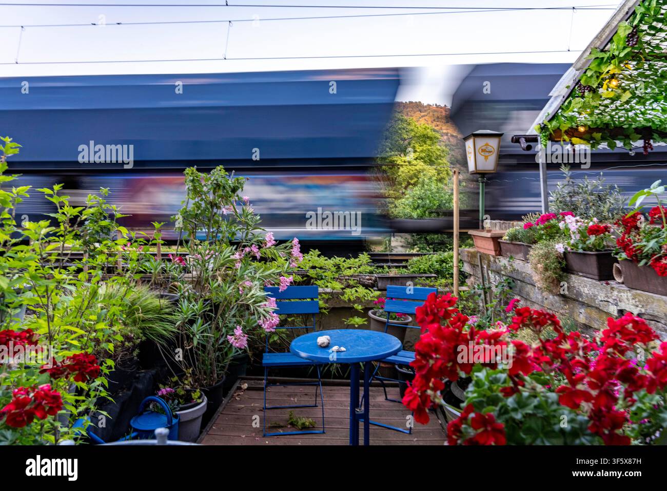 Traffico ferroviario, treno merci, proprio accanto alle case lungo le mura cittadine – il cosiddetto ‚Palisadengang‘ – a Bacharach sul Reno; piccolo giardino anteriore Foto Stock