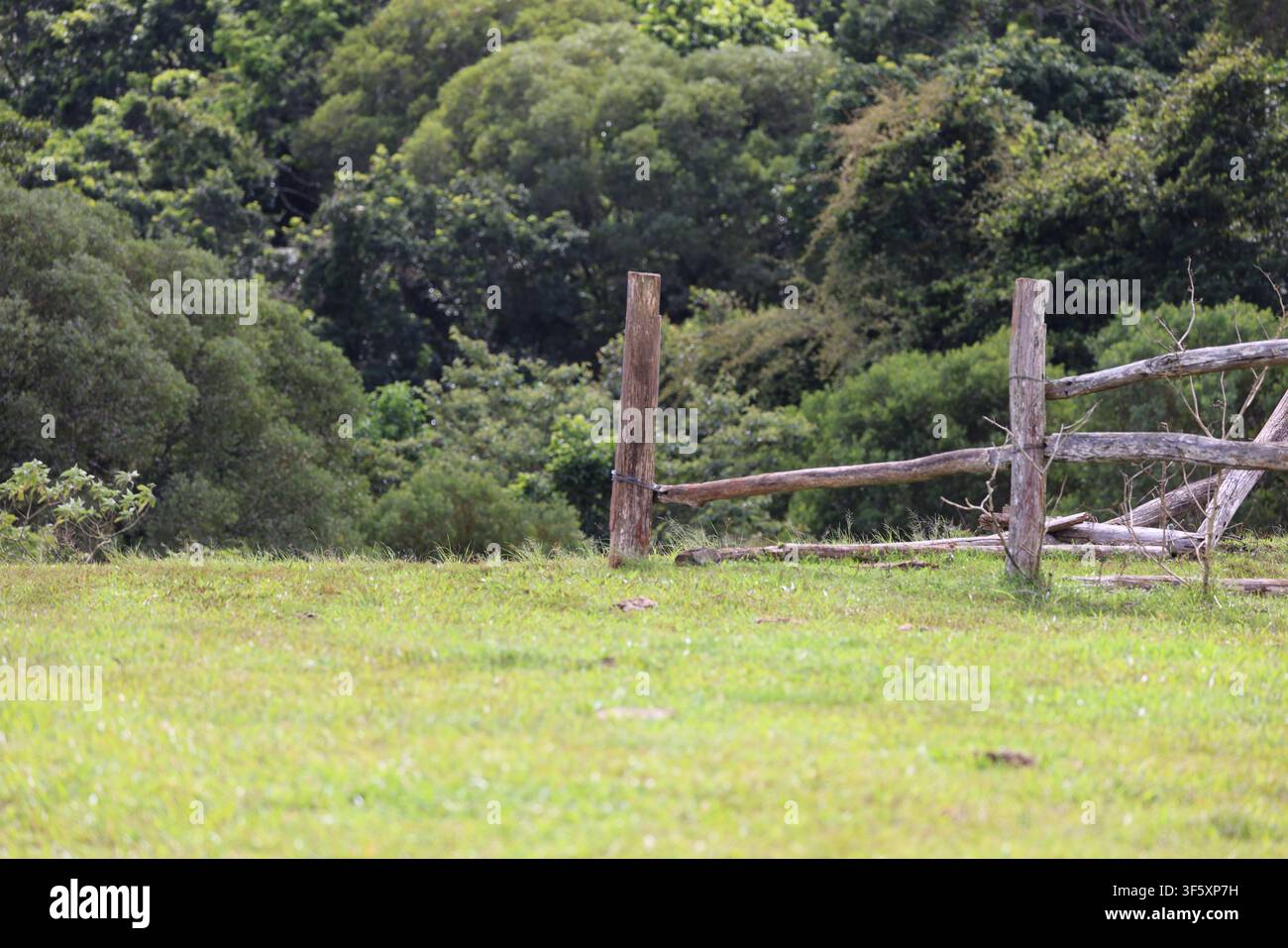 Recinzioni in legno invecchiate su una vecchia proprietà agricola. Foto Stock
