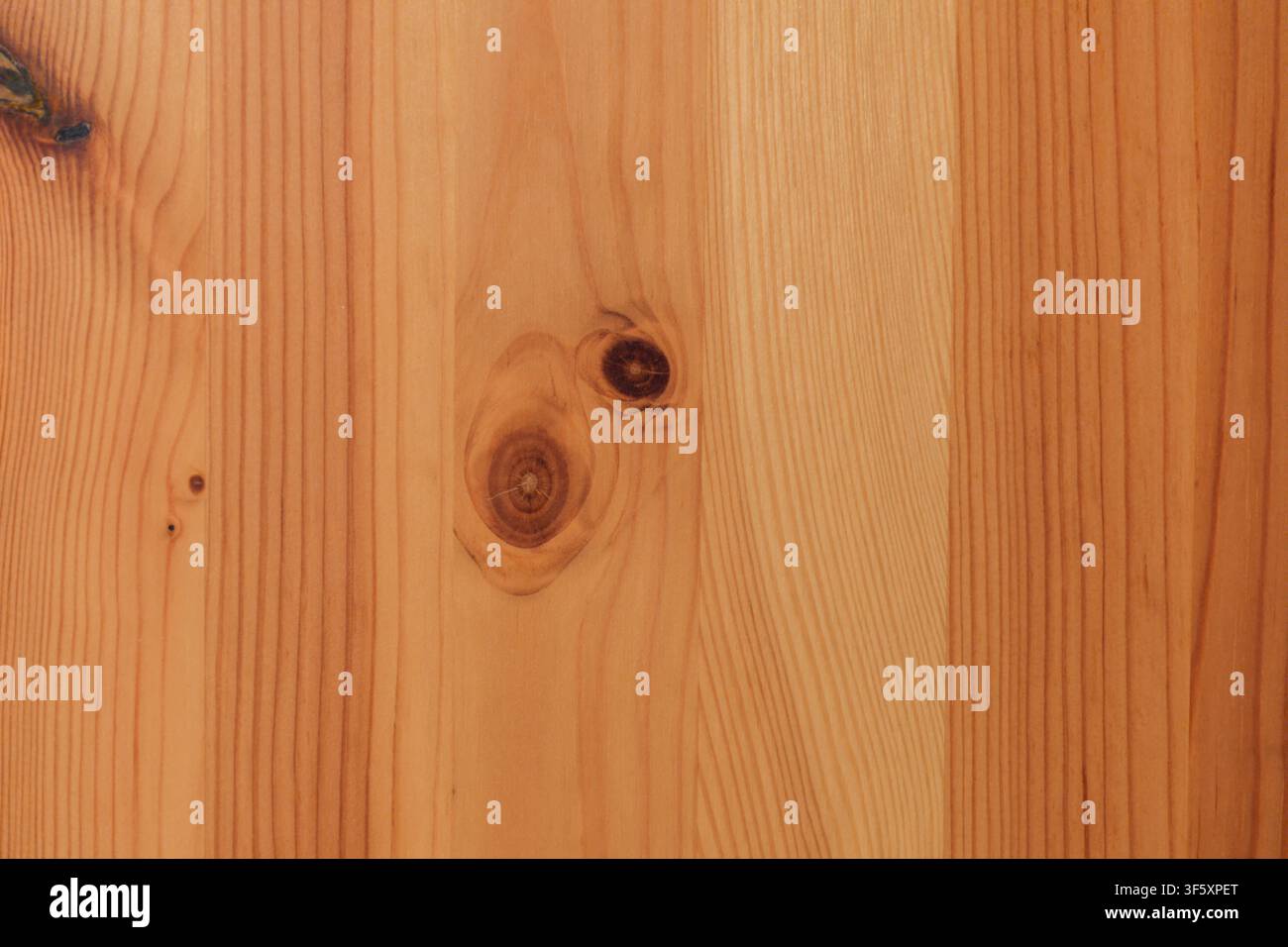 Superficie in legno naturale caldo con venatura verticale, diversi nodi visibili e un motivo organico vario Foto Stock