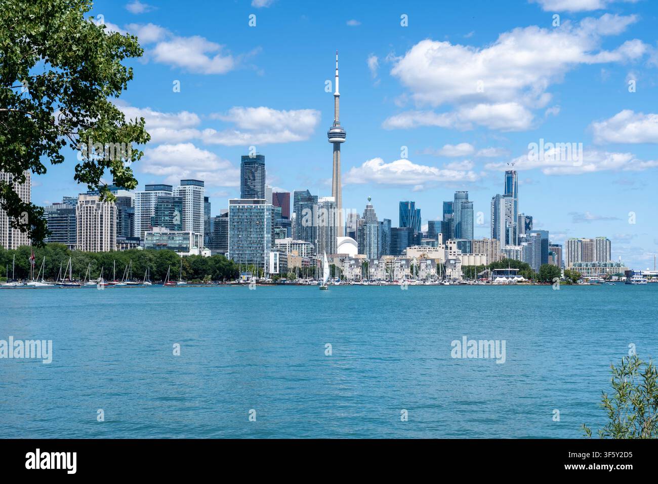 Vista della skyline di Toronto, che include l'iconica Torre CN che si erge sopra i moderni grattacieli, vista dalle rive del lago Ontario. Foto Stock