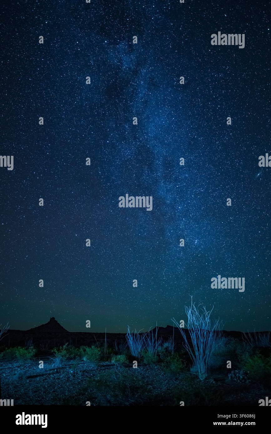 USA, Texas occidentale, Parco nazionale Texas Big Big, cielo notturno e Via Lattea Foto Stock