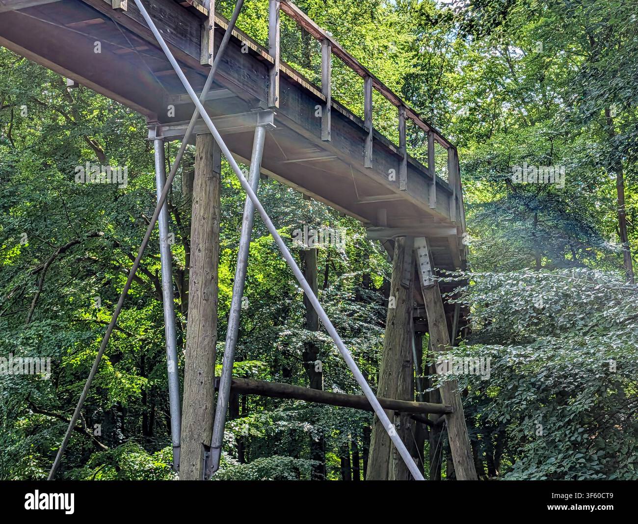 Binz, Rügen, Meclemburgo-Pomerania Anteriore, Germania – 23 luglio 2026: Passerella in legno rialzata attraverso la foresta Foto Stock
