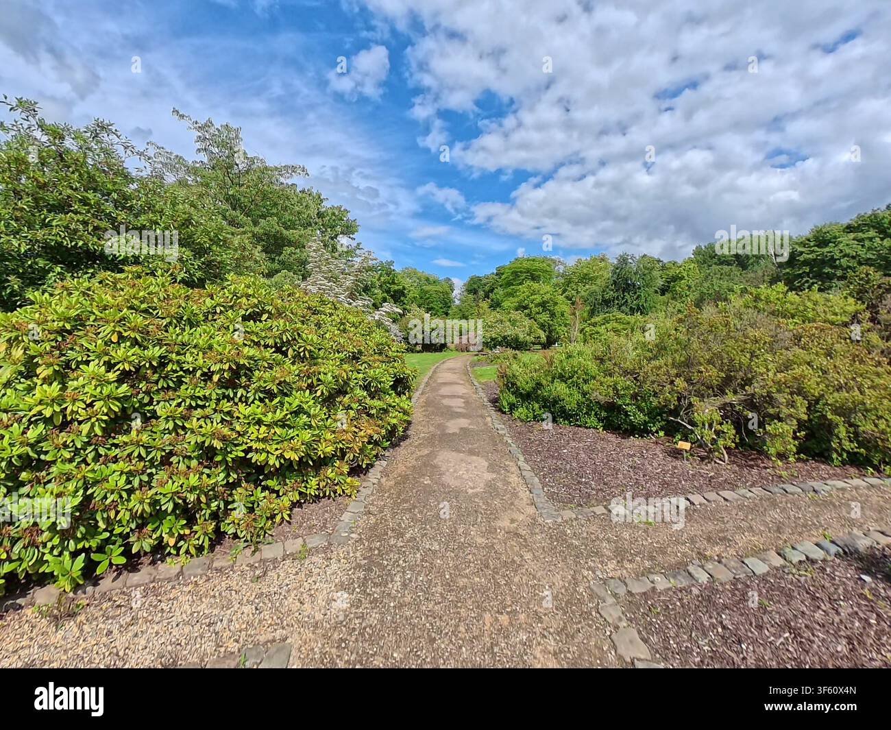 Visita guidata del giardino botanico storico di Meise – architettura naturale. Foto Stock