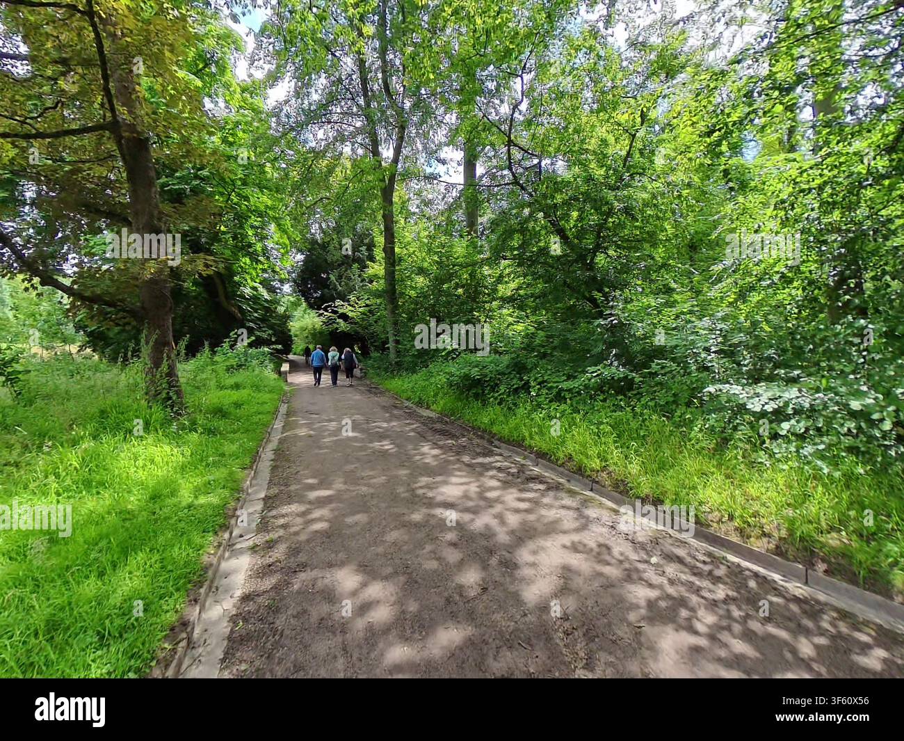 Visita guidata del giardino botanico storico di Meise – architettura naturale. Foto Stock