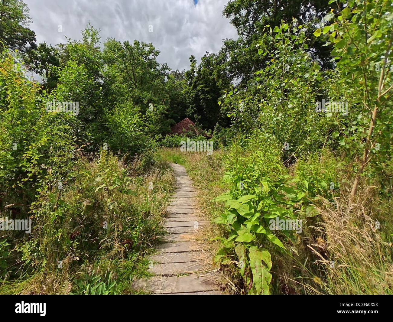 Visita guidata del giardino botanico storico di Meise – architettura naturale. Foto Stock
