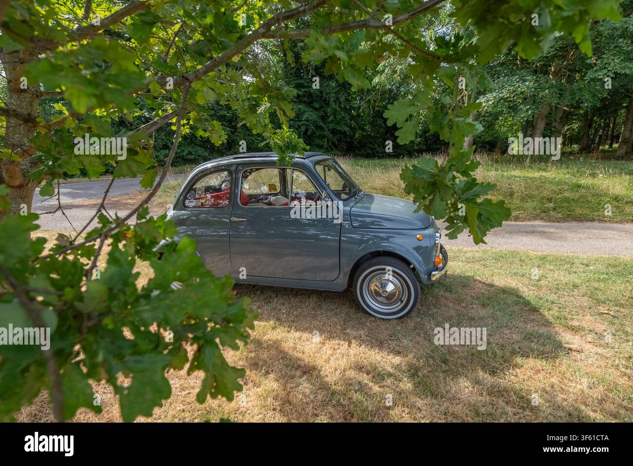La Fiat Nuova 500 grigia parcheggiata su un bordo erboso in un ambiente boschivo. Foto Stock